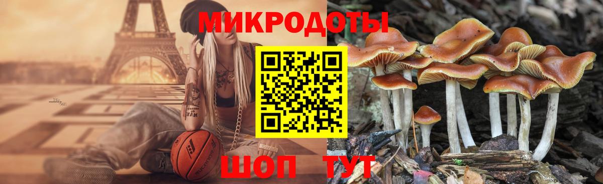 Псилоцибиновые грибы ЛСД  продажа наркотиков  Невинномысск  Вход с VPN 